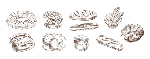 Hand drawn vintage sketch of assorted bakery bread collection in monochrome version, brown ink engraving style