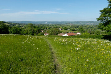 Nyland Hill, cheddar Valley and the Mendips, Somerset, England