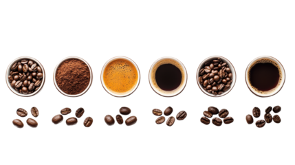 Aromatic coffee varieties displayed in cups with beans, showcasing the brewing process from beans to brewed coffee.