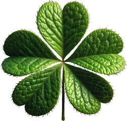 Green Leaf, Isolated Transparent Background, Minimalist Design Element