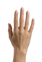 Hand with Nails, Isolated Transparent Background, Minimalist Design Element