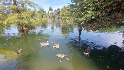 travel, tourism, shore, landscape, sand, sky, clouds, sea, water, peace, waves, destination, beach, nature, love, zen, blue, outdoor, barcelona, spain