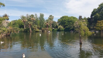 travel, tourism, shore, landscape, sand, sky, clouds, sea, water, peace, waves, destination, beach, nature, love, zen, blue, outdoor, barcelona, spain