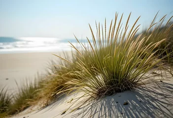 Poster dune grass on sandy beach with ocean waves and blue sky background