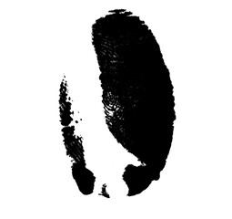 High resolution isolated black fingerprint on white background