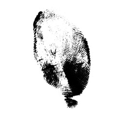 High resolution isolated black fingerprint on white background