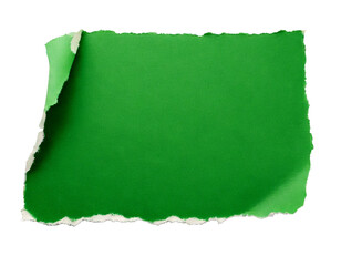 Green, natural, realistic, ripped paper sheet with a textured border and torn corner, perfect for HD presentations, digital design, creative projects, and background compositions with a handcrafted or