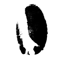 High resolution isolated black fingerprint on white background
