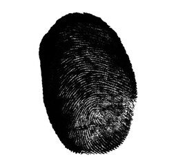 High resolution isolated black fingerprint on white background