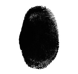 High resolution isolated black fingerprint on white background
