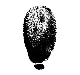 High resolution isolated black fingerprint on white background