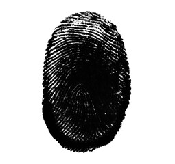 High resolution isolated black fingerprint on white background