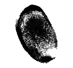 High resolution isolated black fingerprint on white background