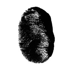 High resolution isolated black fingerprint on white background