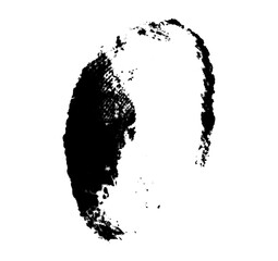 High resolution isolated black fingerprint on white background