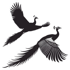 Elegant flying peacock birds black silhouette on white background illustration