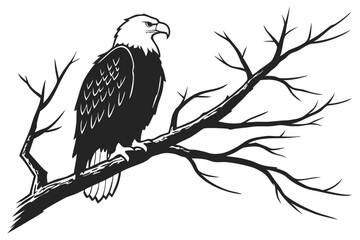Majestic bald eagle perched on a bare branch in black and white
