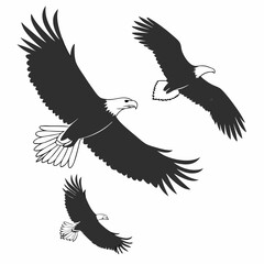 Fototapeta premium Three majestic bald eagles flying high monochrome vector illustration