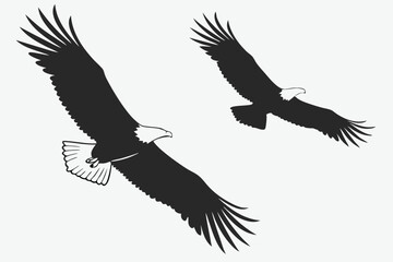 Obraz premium Two bald eagles silhouettes flying gracefully across a clean white background