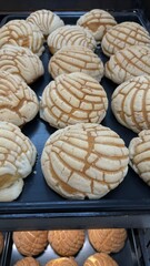 Concha bread mexican pastrie, sweet