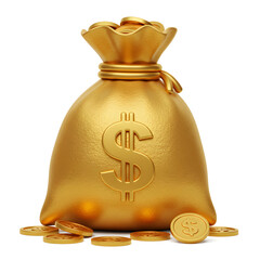 Wealth, Prosperity, and Financial Success: A Golden Bag of Money