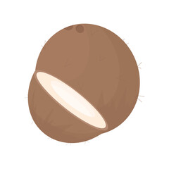 Ripe coconut. Exotic fruits. Half a coconut. Minimalistic hand drawn brown coconut.