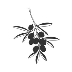 Olive branch stylized drawing dark color, silhouette branch, isolated on white background.