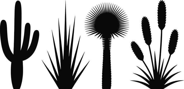 Black silhouettes of cactus yucca palm and grass plants on a white background in a vector format