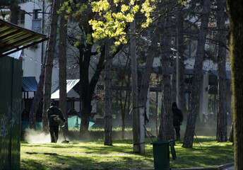 Gardener trimming grass in park in sunlight