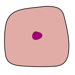 vector illustration of a funny face