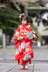 七五三7歳着物のかわいい女の子
