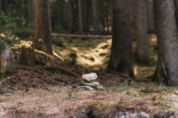 Cairn marking the path through a mysterious forest