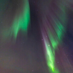 Equinox Aurora and Northern light on the sky, heavenly aurora borealis in green, purple and red over our head! amazing and beautiful, incredible strong dancing lady aurora like a phenix, rays of light