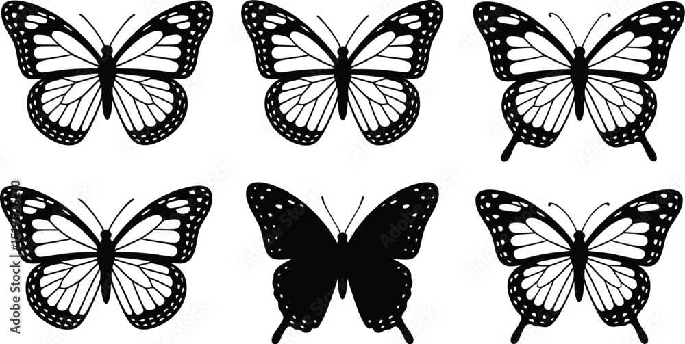 Poster six butterflies arranged in two rows with varying wing patterns and one solid black silhouette