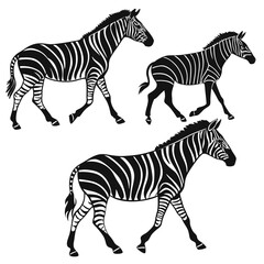 Fototapeta premium Zebras walking animal illustration black and white striped pattern safari wildlife graphic