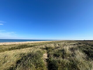 sand dunes and grass on beach