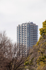 Building in the Tokyo, Japan