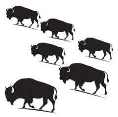 Silhouette herd of american bison buffalo walking across a white background