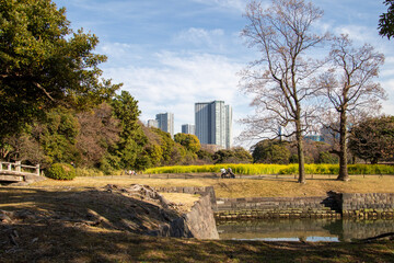 Hamarikyu Gardens, Tokyo, Japan