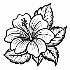 China rose line art