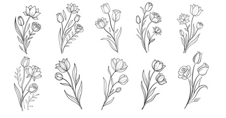 Set of Botanical Flower Illustration 