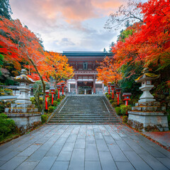 Kuramadera in a beautiful autumn scenery in Kyoto, Japan is a large temple complex spread across the side of Mt. Kurama