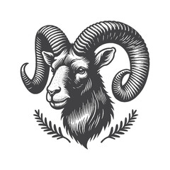 Obraz premium Vintage Hand-Drawn Mouflon Head Side Portrait with Alert Expression Illustration – Wild Animal Engraved Style Vector for T-Shirts, Posters, Stickers, and Mountain Wildlife-Themed Apparel