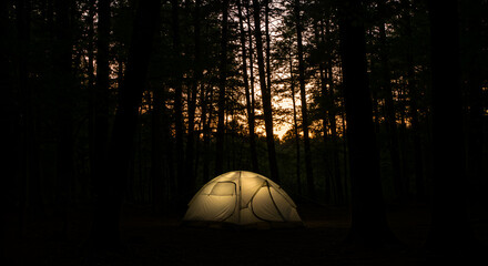 Illuminated tent in a dark forest (2)