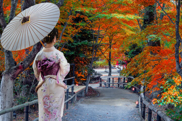 Japanese Woman in Traditional Kimono Dress at Kitano Tenmangu Shrine with beautiful vivid autumn colorful foliage in Kyoto, Japan