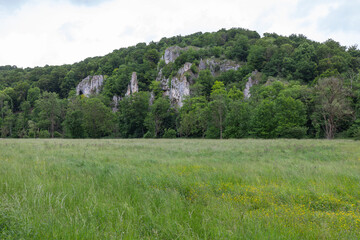 Naklejka premium Felsige Flusslandschaft an der Großen Lauter im Juni mit Schwarzlochfelsen.
