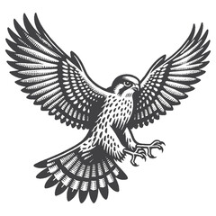 Obraz premium Vintage Hand-Drawn Lesser Kestrel Flying With Wings Spread Illustration – Bird Wildlife Engraved Style Vector for T-Shirts, Posters, Stickers, and Nature Flight Themes Apparel