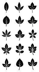 Collection of black silhouettes of various leaf types