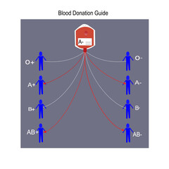 Blood donation guide of blood group A-