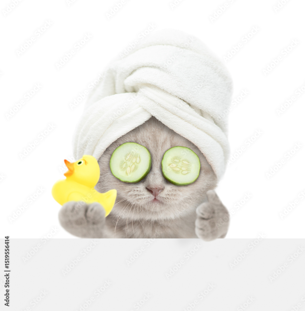 Aufkleber Cute kitten with towel on it head and with slices of cucumber on it eyes looks above blank banner holds rubber duck and shows thumbs up gesture. Empty space for text. Isolated on white background